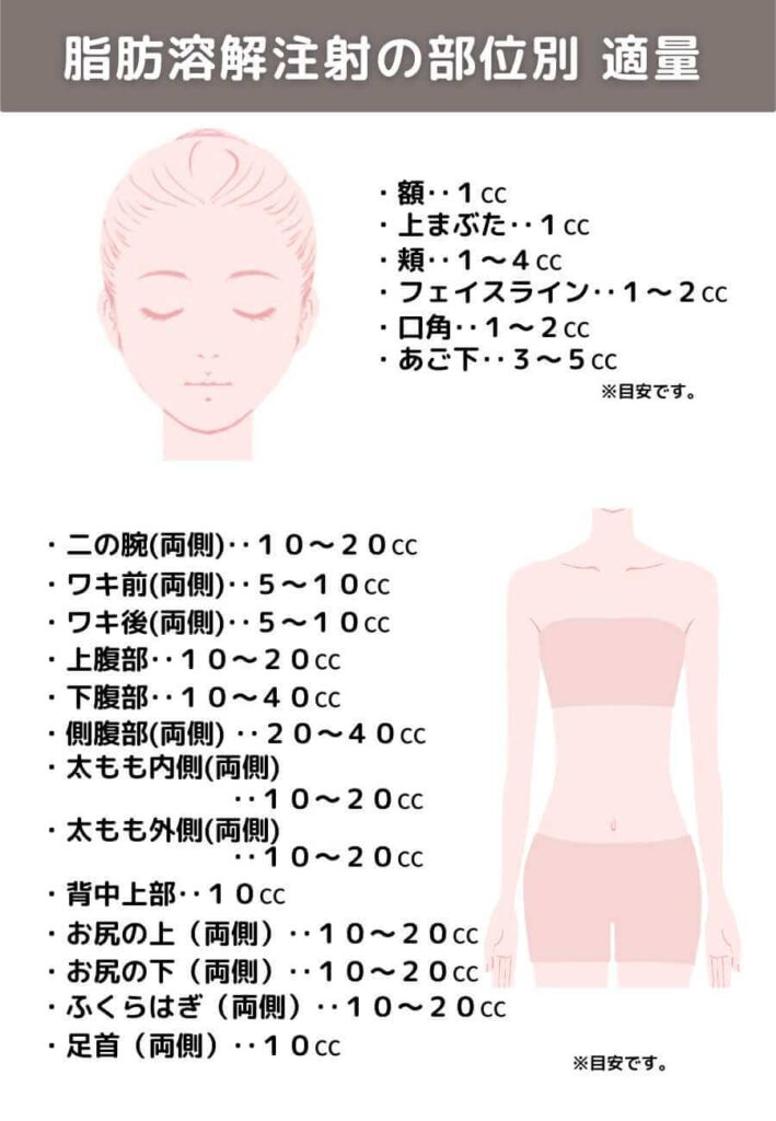 脂肪溶解注射の適量を示した図解